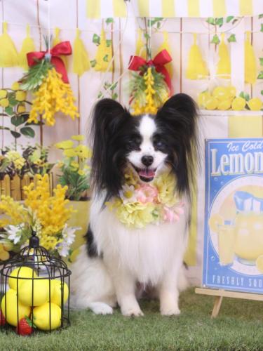 20240413ととくん